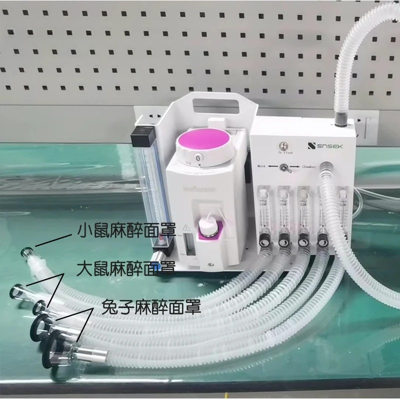 Equipo de laboratorio profesio - Medical Lab Professional reseña y precio