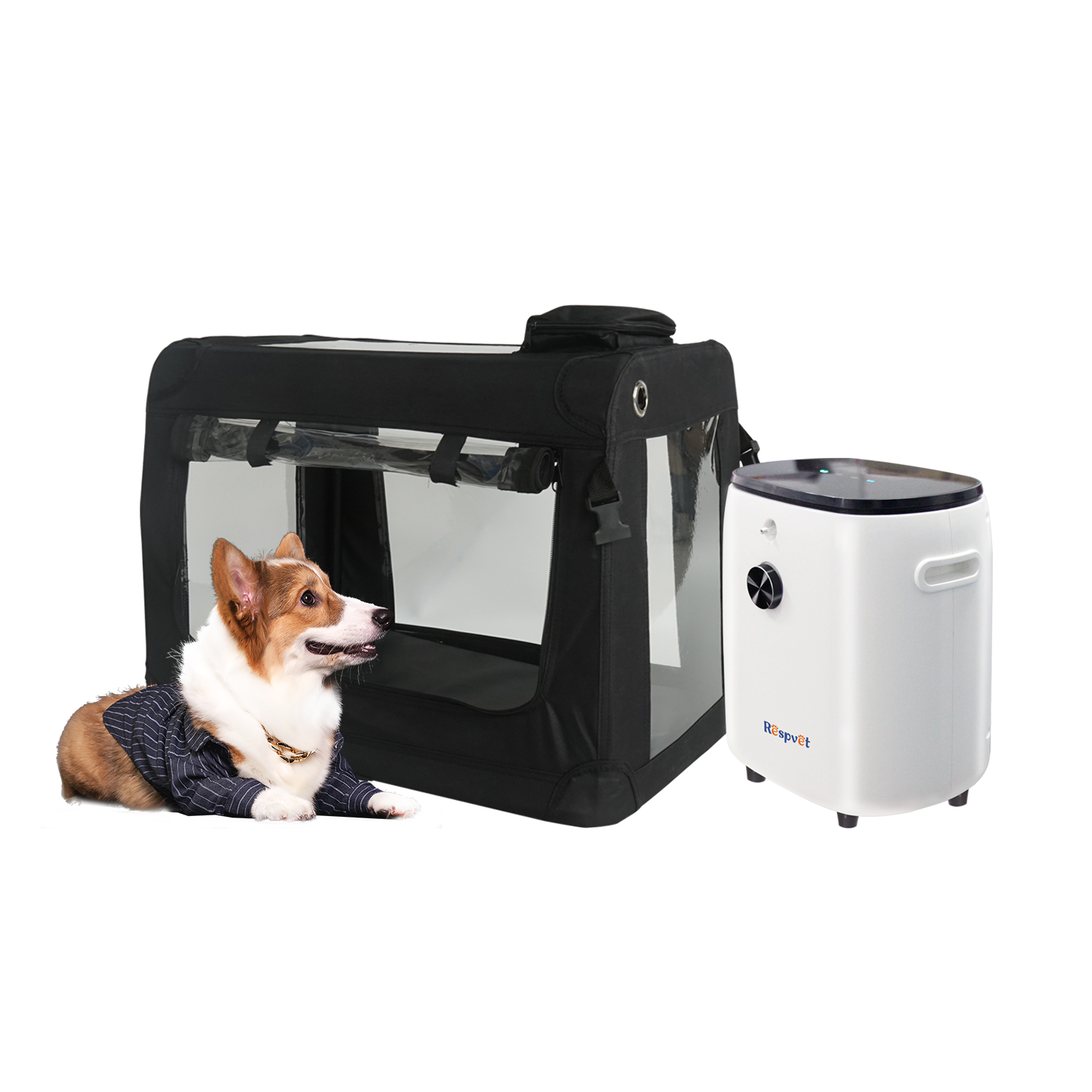 El mejor concentrador veterina - Medical Lab Assistant reseña y precio