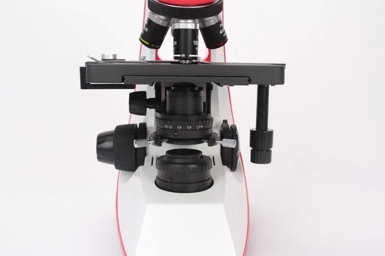 Microscopio biológico compuest - Medical Lab Professional reseña y precio