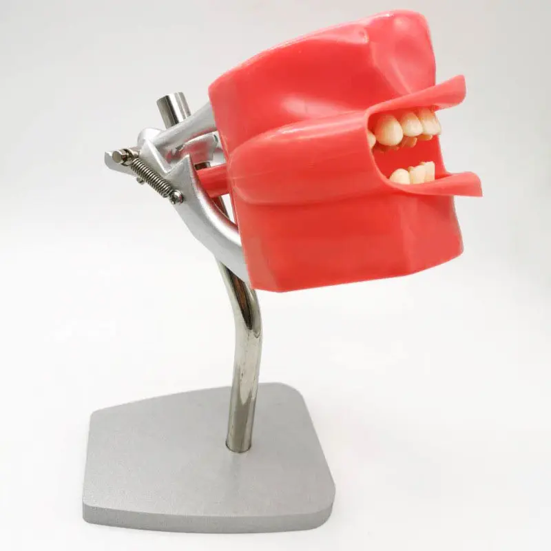 Modelo de entrenamiento de lab - Medical Lab Professional reseña y precio