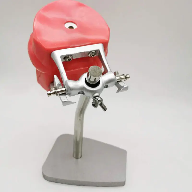 Modelo de entrenamiento de lab - Medical Lab Professional reseña y precio