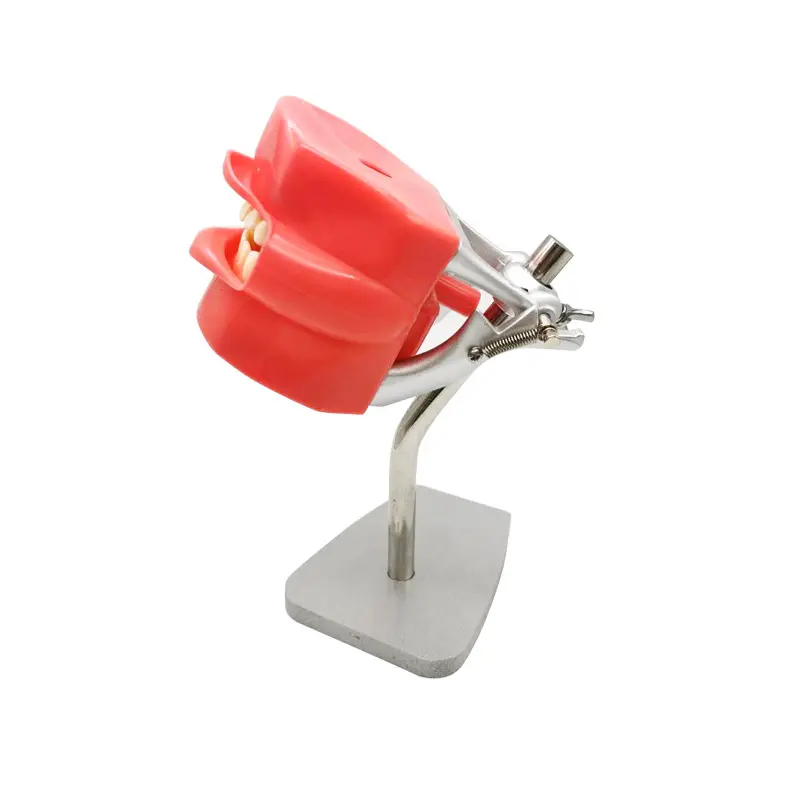 Modelo de entrenamiento de lab - Medical Lab Professional reseña y precio